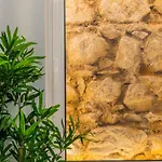 度假居 Casa Da Porta Da - 3 Bedroom Castle House 阿尔布费拉